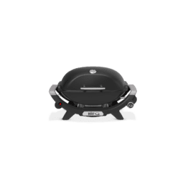 Q 2100N Gasgrill